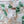 Load image into Gallery viewer, Scent     Solar Serenity