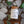 Load image into Gallery viewer, Custom Scentz Pack - Sage Scentz