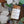 Load image into Gallery viewer, Custom Scentz Pack - Sage Scentz